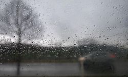 Du gris, encore du gris.