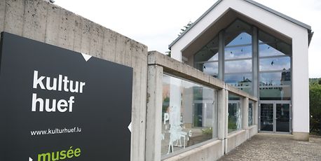 Cinemas across Luxembourg - Vimarsana News