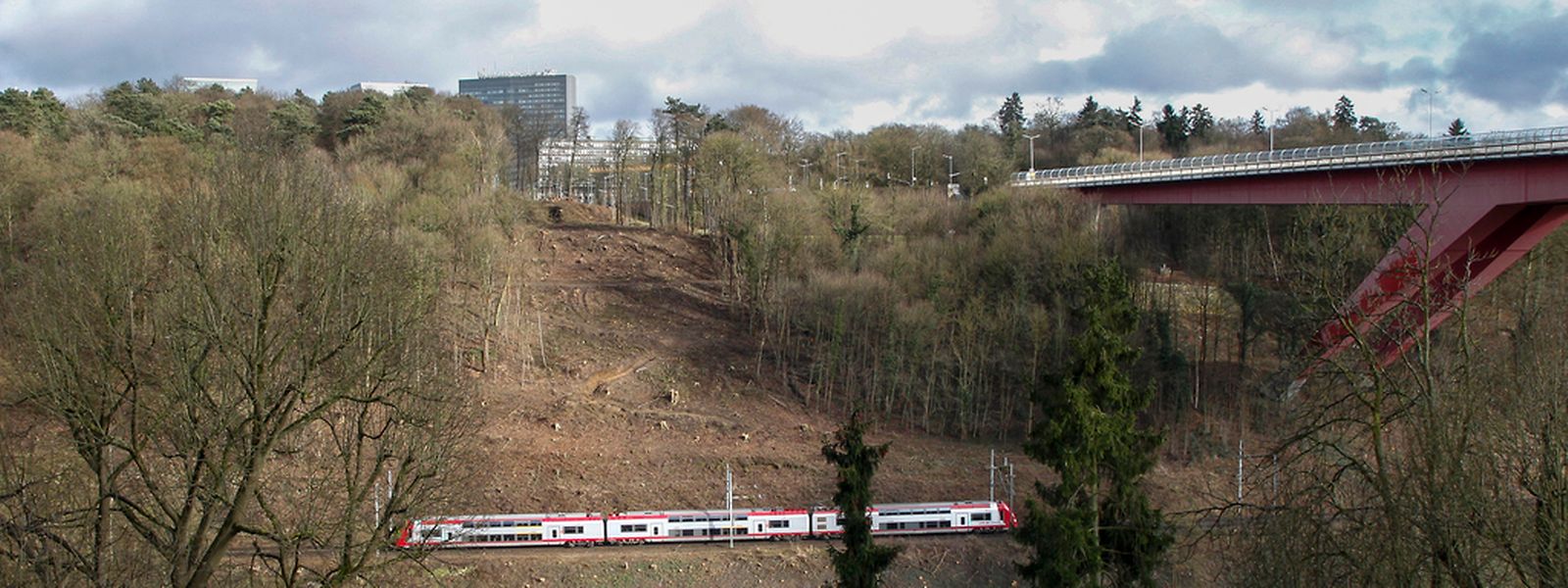 Auf einer Fläche von 1,5 Hektar wurden im Hinblick auf die Großbaustelle Bäume gerodet. Zum Ausgleich werden in der Gemeinde Roeser auf einem Gebiet von 1,4 Hektar neue Bäume geflanzt.