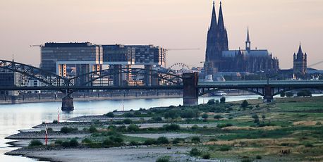 Europe's rivers are running dry, disrupting trade routes - Vimarsana News