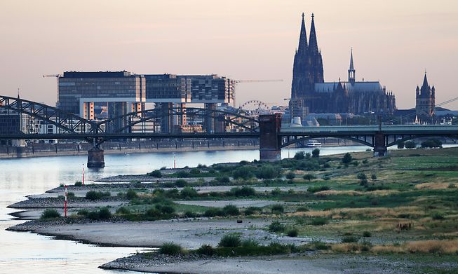 The Rhine in Cologne