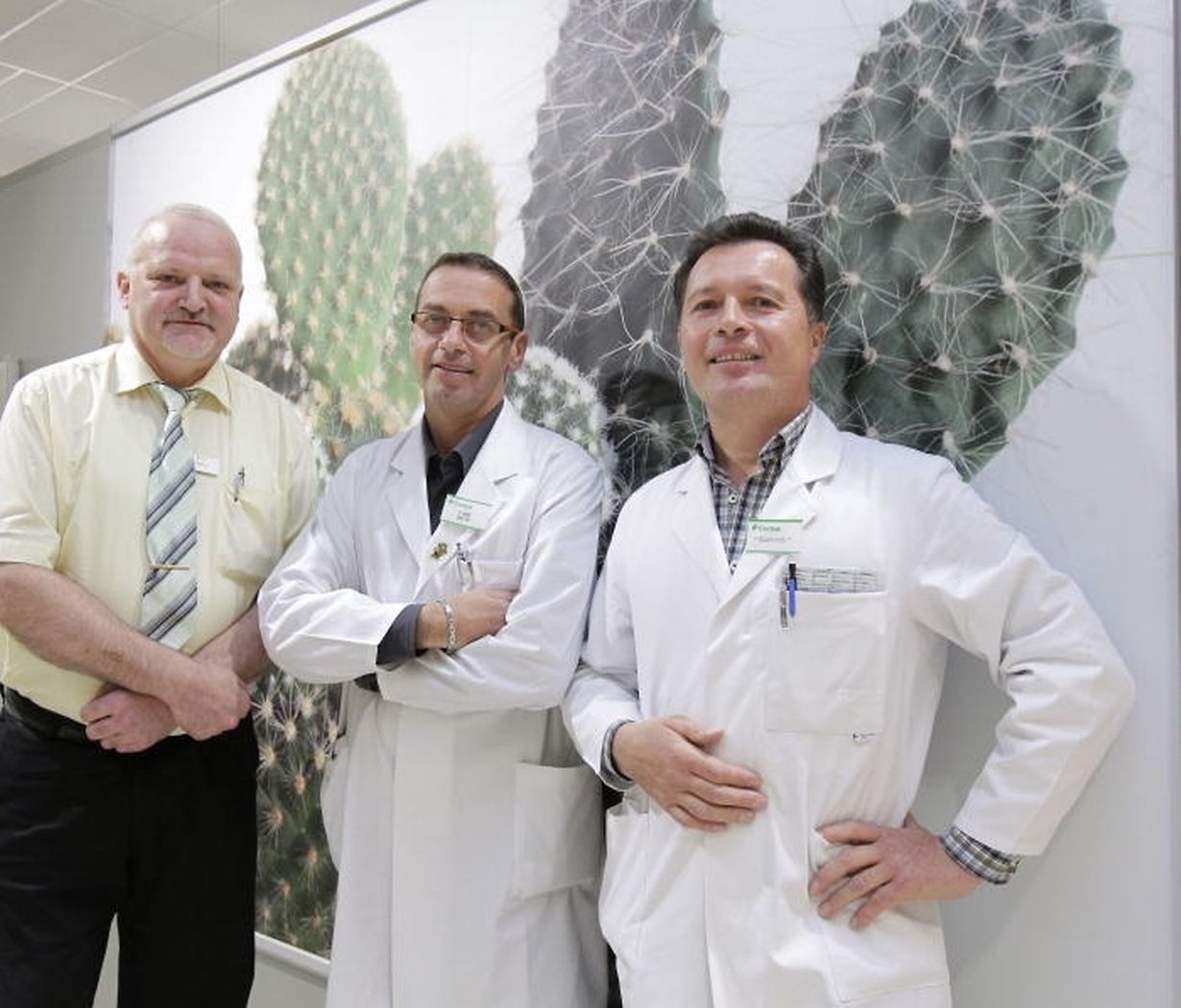 mywort - Cactus Mersch feiert seine Neuerffnung