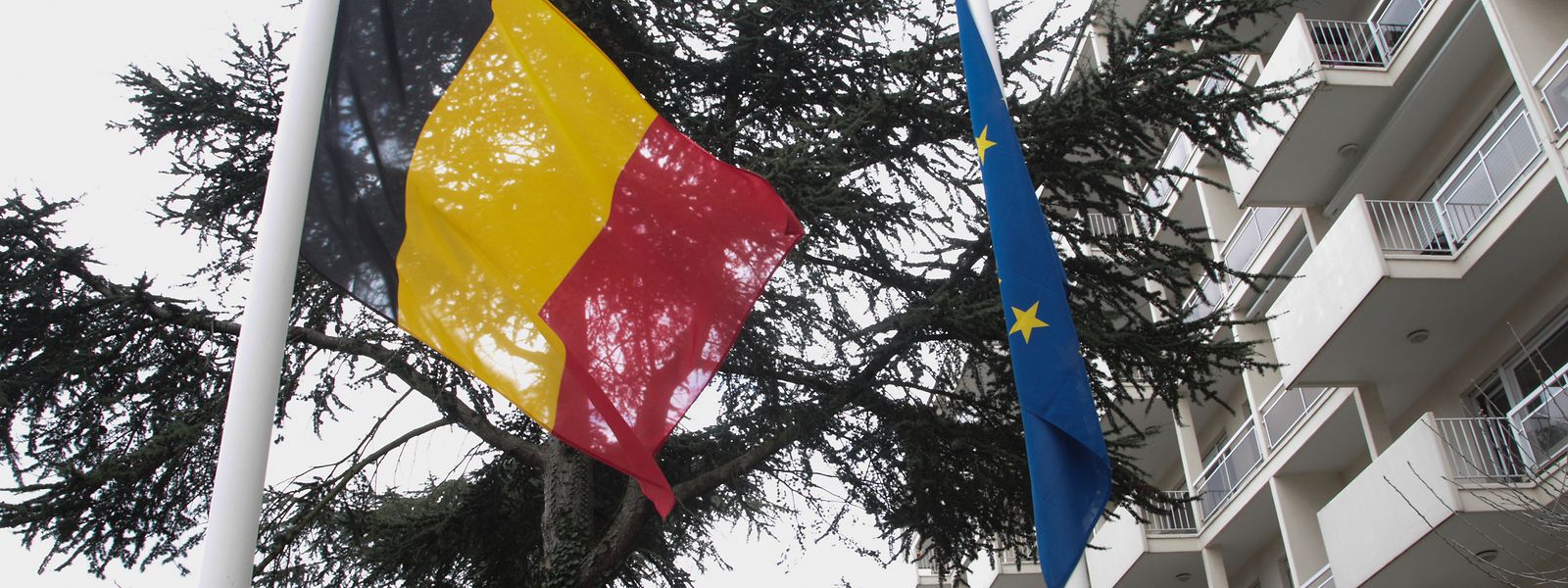 Les Affaires étrangères excluent jusqu’à présent le rapatriement des Belges détenus dans les camps, au motif qu’ils ont combattu dans les rangs de l’Etat islamique ou d’autres groupes islamistes actifs en Syrie et en Irak. 