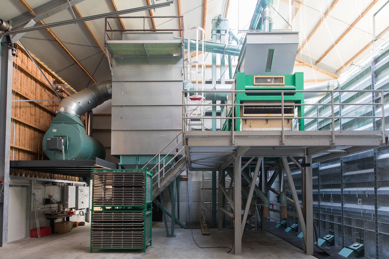 Plusieurs granges servent à dépoussiérer les grains du chanvre puis à les stocker dans des silos tout au long de l'année.