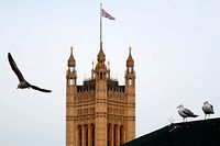 Gulls sit on a roof top neat the Houses of Parliament in central London on December 16, 2019. - Prime Minister Boris Johnson vowed Saturday to repay the trust of former opposition voters who gave his Conservatives a mandate to take Britain out of the European Union next month. Johnson toured a leftist bastion once represented by former Labour leader Tony Blair in a bid to show his intent to unite the country after years of divisions over Brexit. (Photo by Tolga AKMEN / AFP)