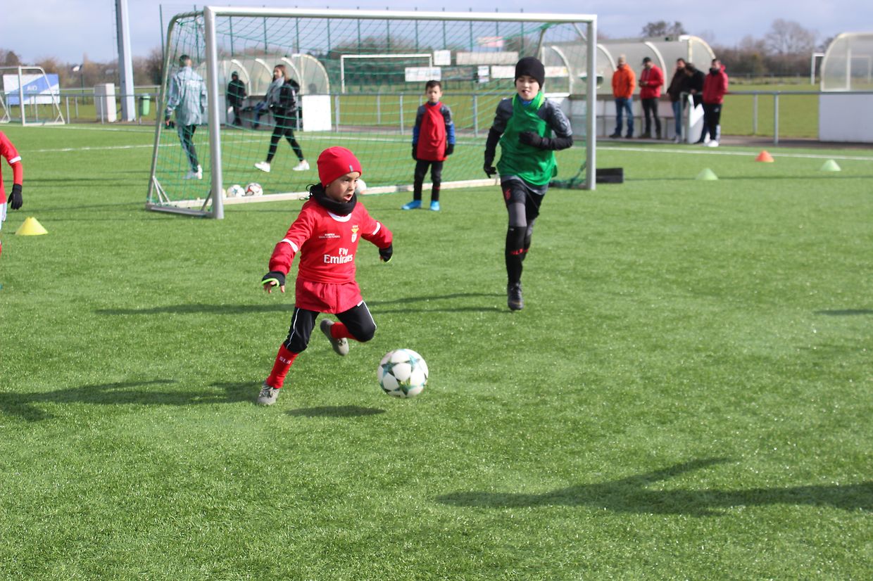 Pequeno, mas com grande habilidade.