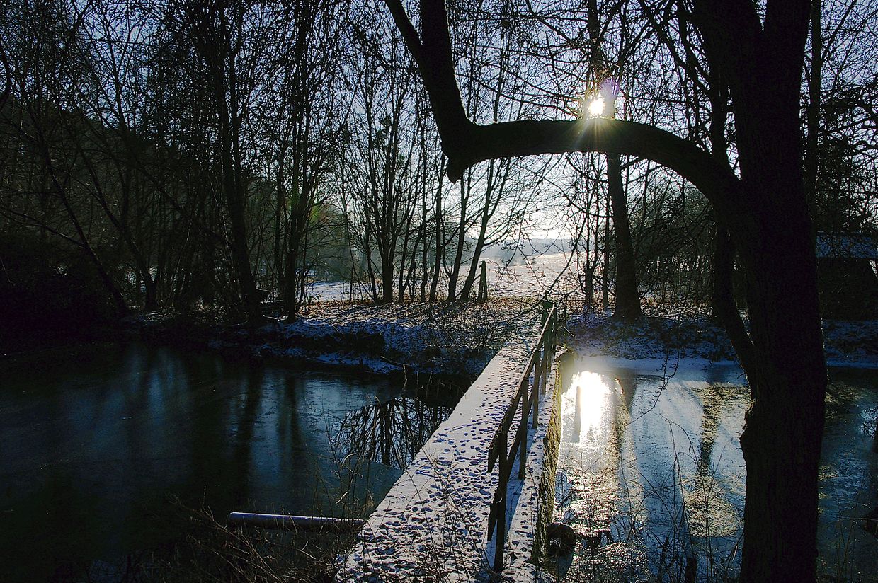 KONICA MINOLTA DIGITAL CAMERA