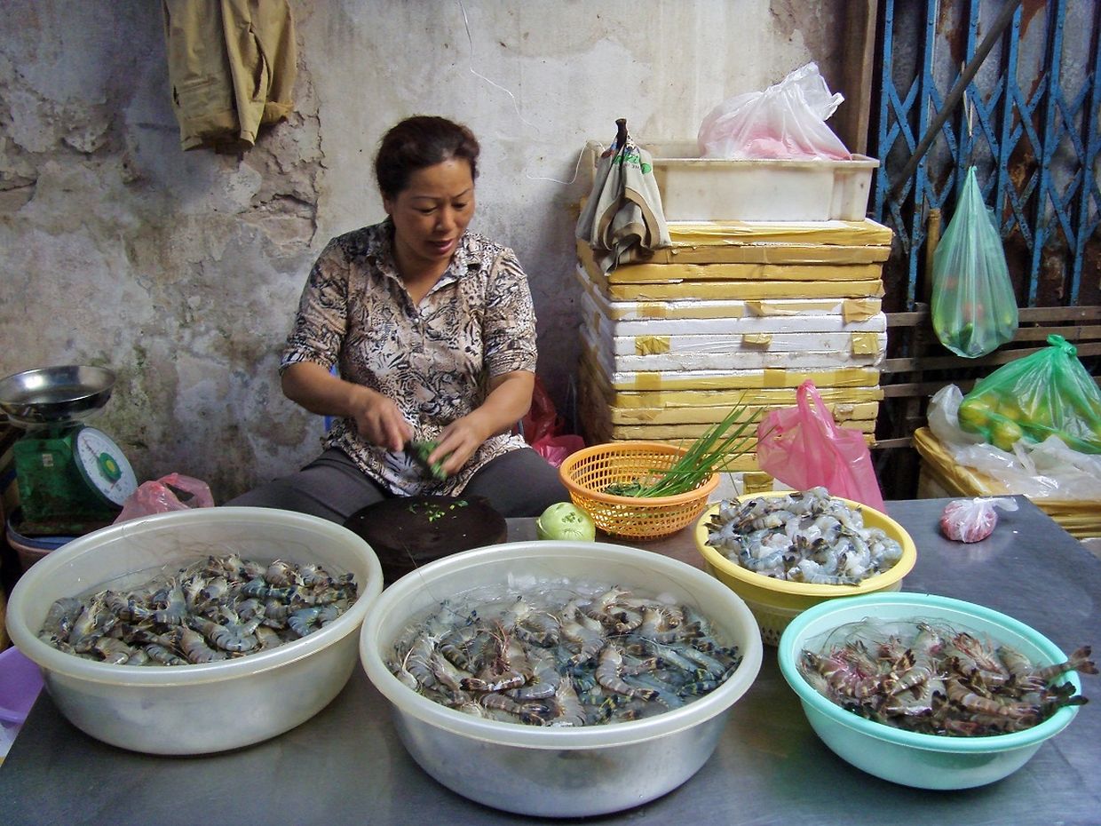 SAMSUNG DIGITAL CAMERA