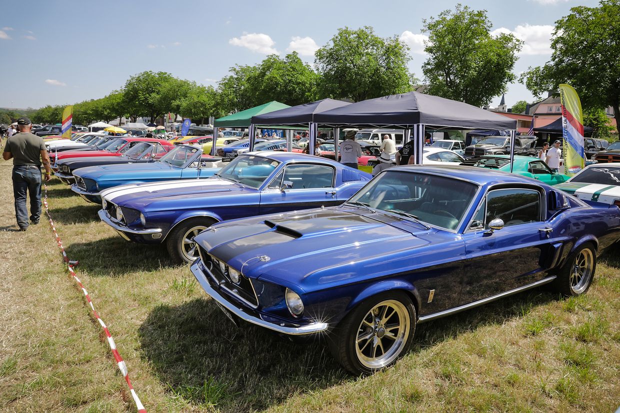 Noch bis Sonntag sind die US-Boliden in Stadtbredimus zu bestaunen.
