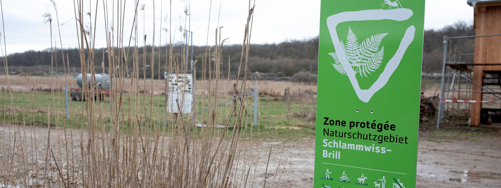 Zurzeit werden 24 Hektar des Gebiets für das Pionierprojekt genutzt. 